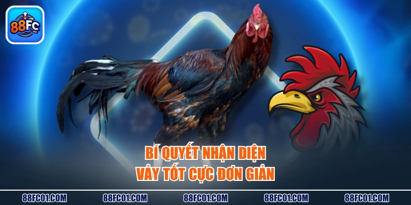 Bí quyết nhận diện vảy tốt cực đơn giản